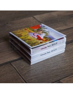 Acordeón pesonalizado color 2