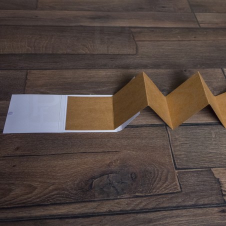 Acordeón personalizado negro