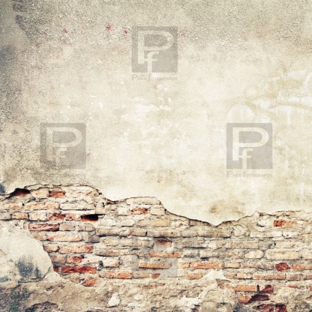 fondo estudio fotografía