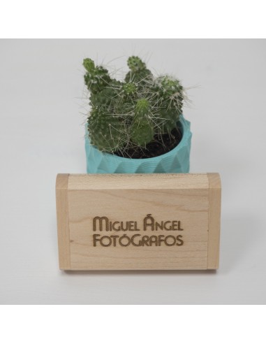 Pendrive con caja de madera para todo tipo de sesiones de fotografía