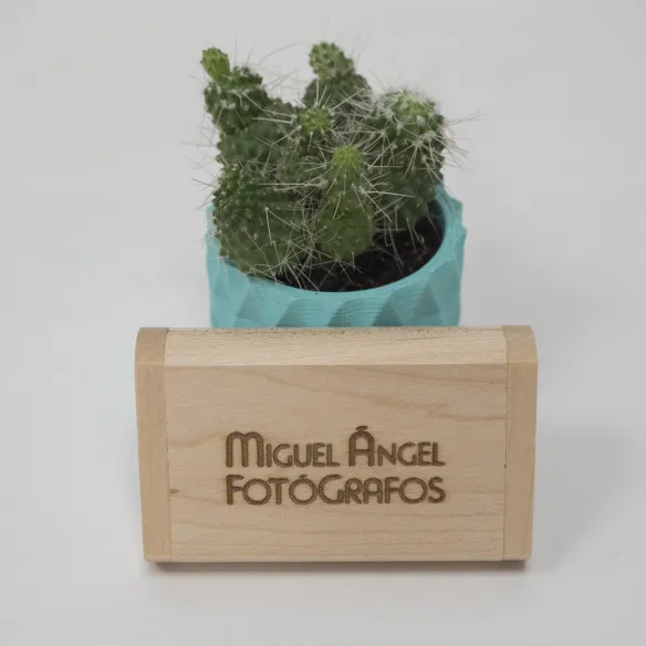 Pendrive con caja de madera para todo tipo de sesiones de fotografía