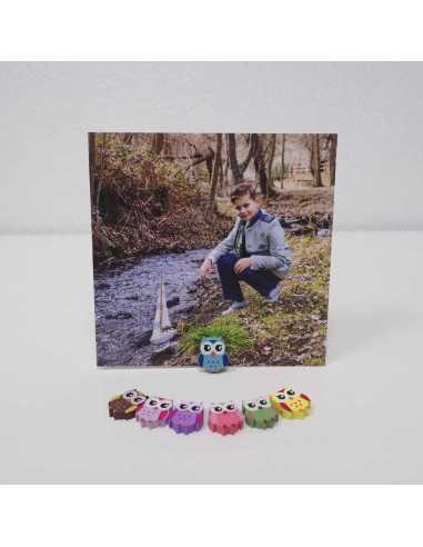 portaláminas para fotos