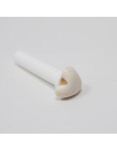 portaláminas para fotos 2