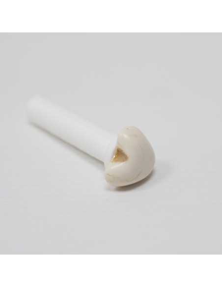 portaláminas para fotos